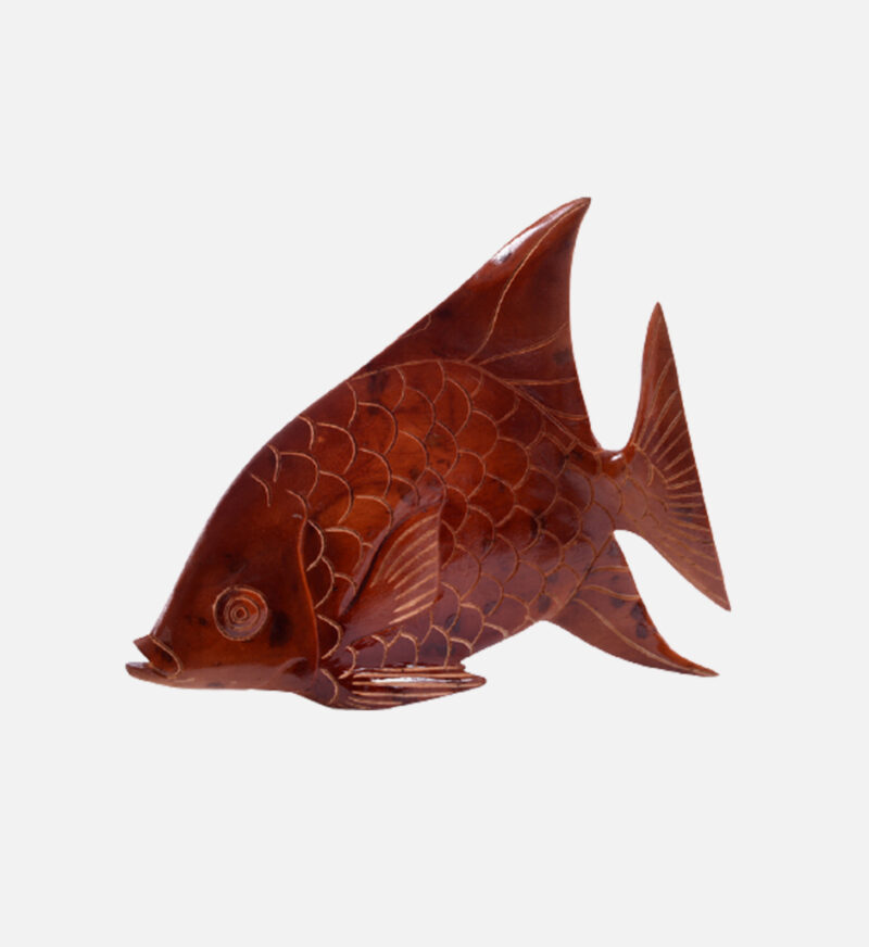 Display Angel Fish - Image 7