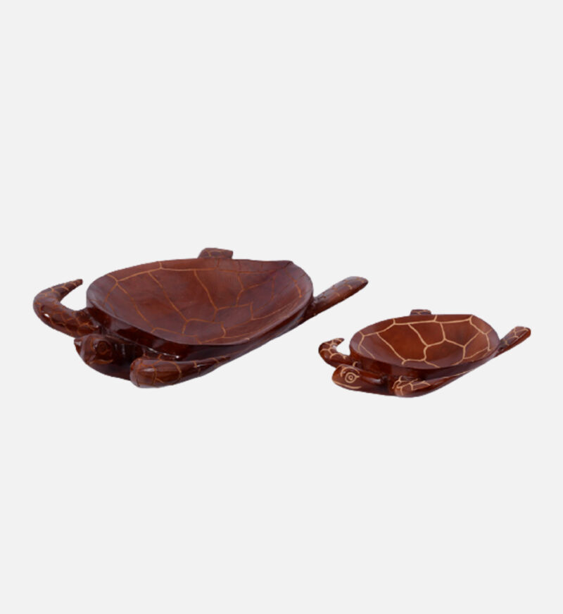 Turtle Fruit Bowl