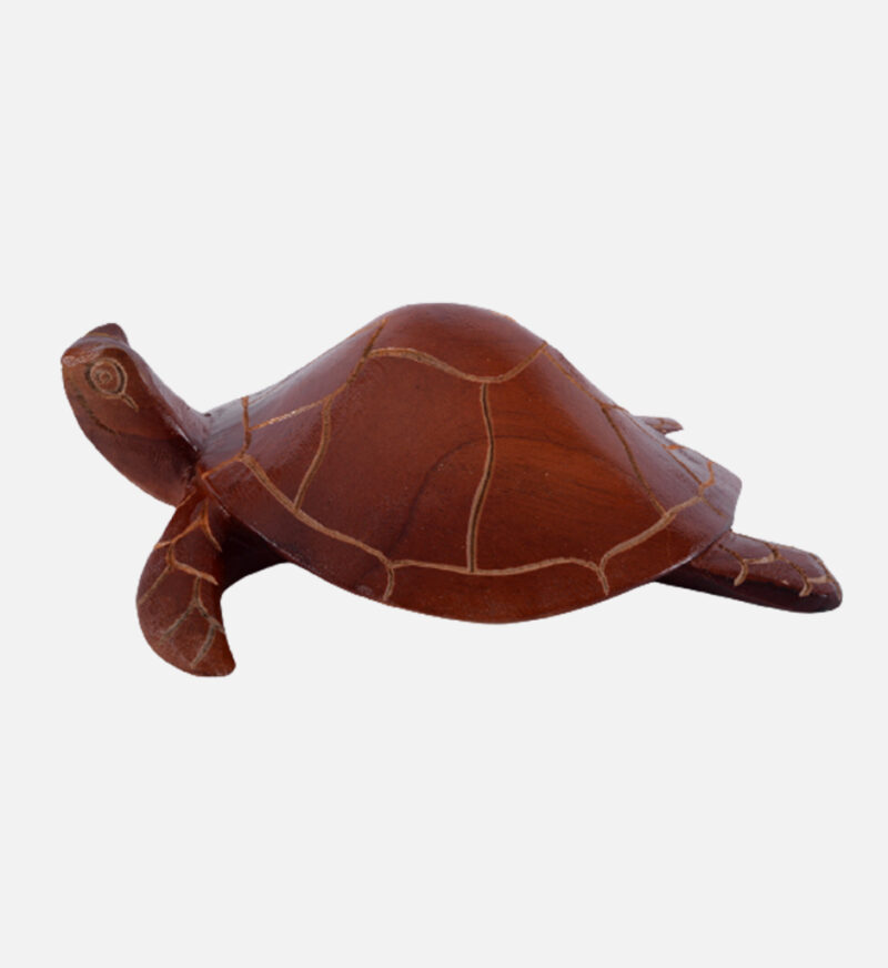 Handmade Turtle - Image 6