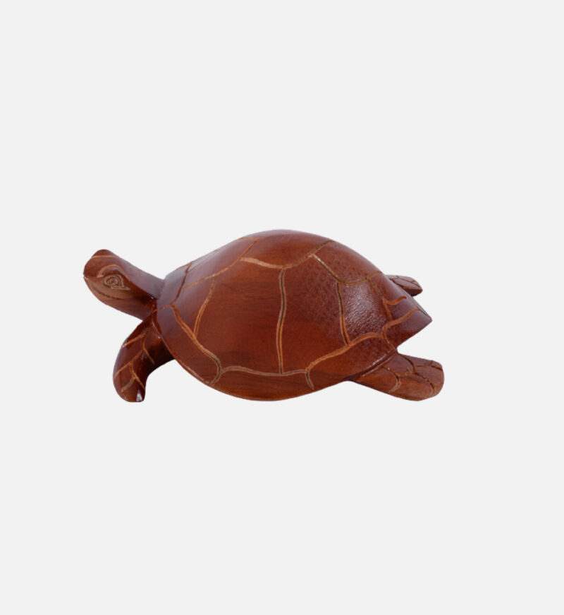 Handmade Turtle - Image 3