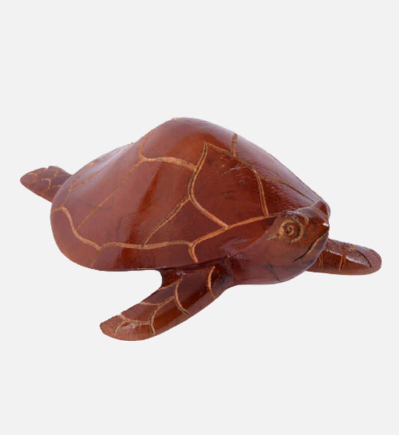 Handmade Turtle - Image 7