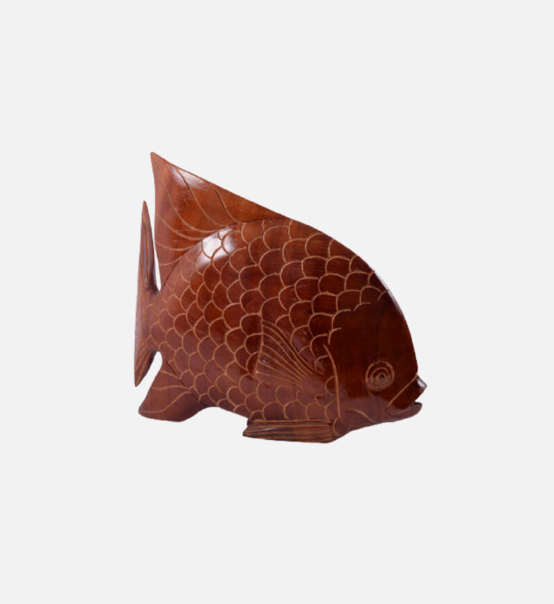 Display Angel Fish - Image 4