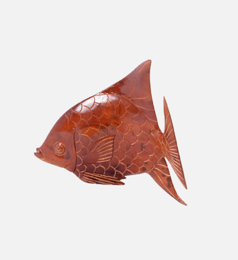 Display Angel Fish - Image 9