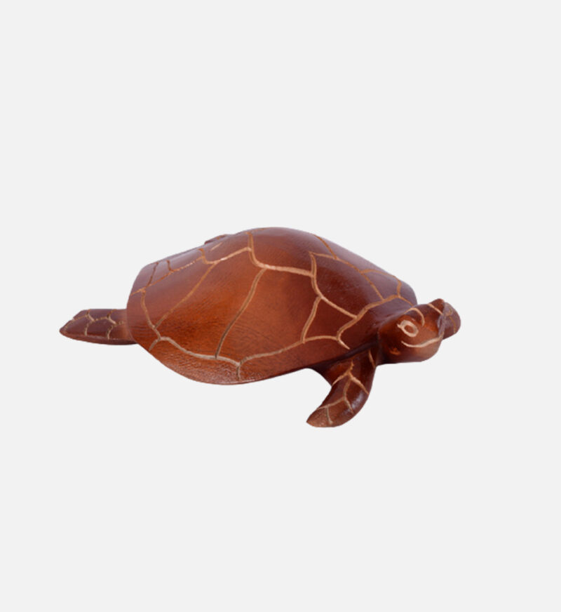 Handmade Turtle - Image 4