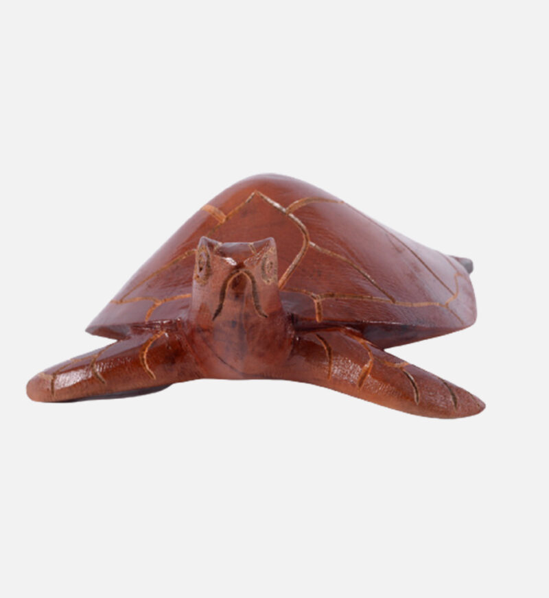 Handmade Turtle - Image 8