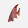Display Angel Fish - Image 10