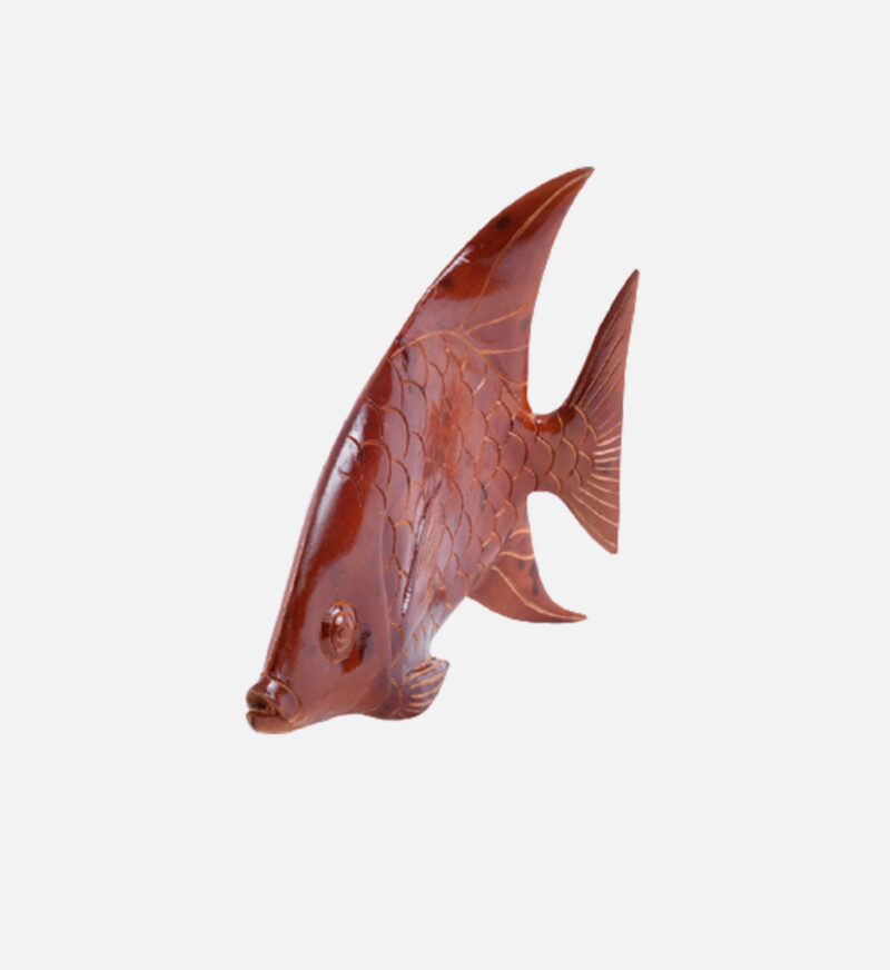 Display Angel Fish - Image 10