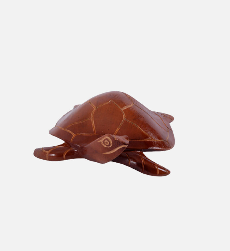 Handmade Turtle - Image 5