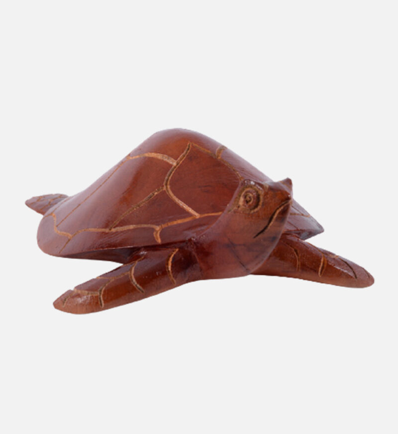 Handmade Turtle - Image 9