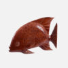 Display Angel Fish - Image 11