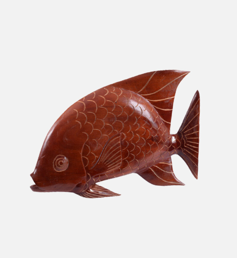 Display Angel Fish - Image 11